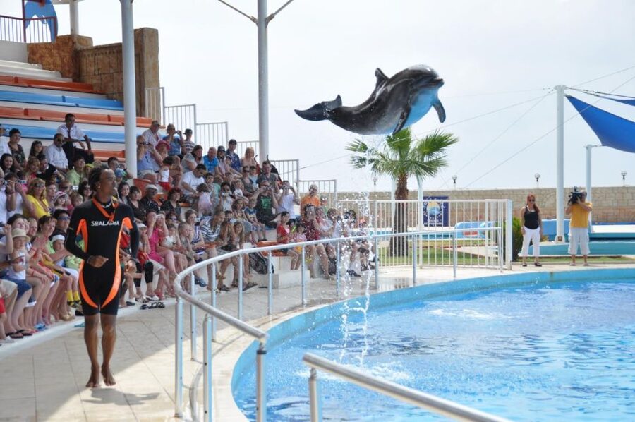 Alanya: Dolphin and Seal Show Ticket with Hotel Transfers - Should you book the Sealanya Dolphinpark experience?