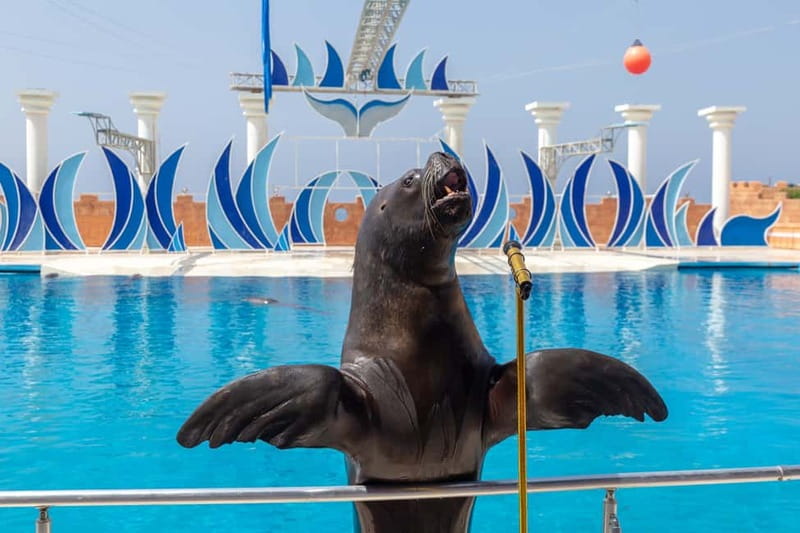 Alanya: Sealanya Dolphinpark Dolphin Show Tour - Key points to know before you book