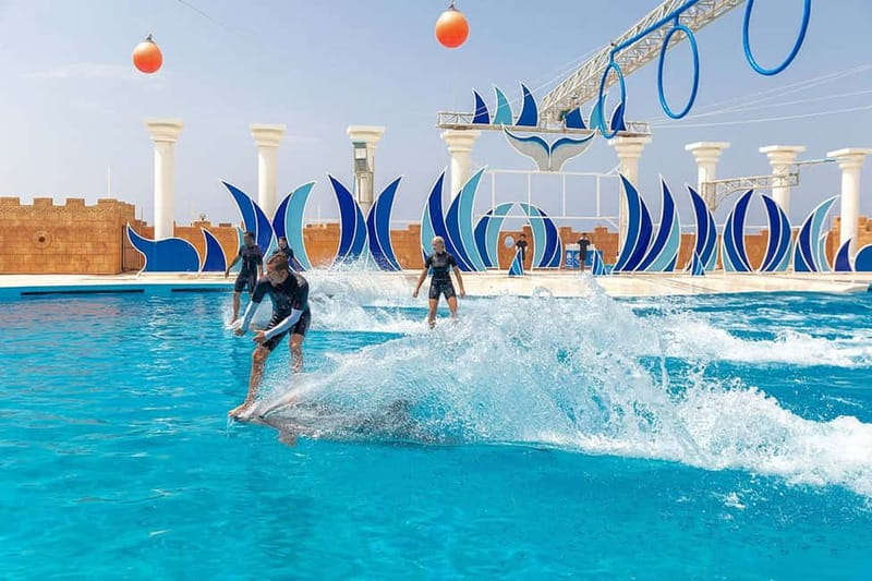 Alanya: Sealanya Dolphinpark Dolphin Show Tour - Languages, cancellation, and booking flexibility