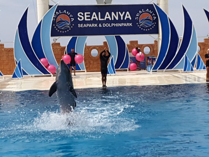Alanya: Sealanya Dolphinpark Dolphin Show Tour - Who will enjoy Sealanya most
