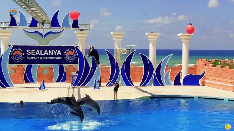 Alanya: Sealanya Dolphinpark Dolphin Show Tour - Practical tips for a smoother visit