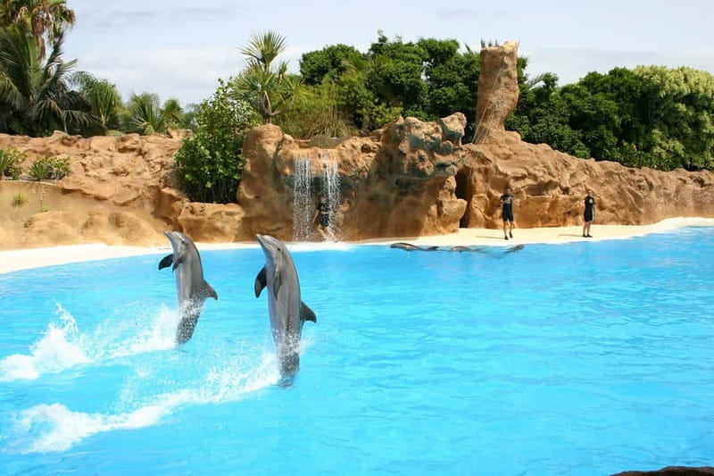Alanya: Sealanya Dolphinpark Dolphin Show Tour - Choosing a seat in the C-shaped grandstand