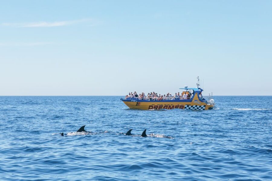Albufeira: 2.5-Hour Benagil Caves & Dolphin Watching - Who should book this Dolphin and Benagil cruise?