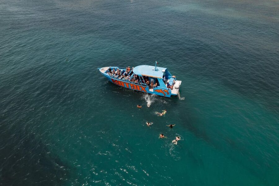 Albufeira: 2.5-Hour Dolphin Watching and Caves Trip - The swim stop and the ride home