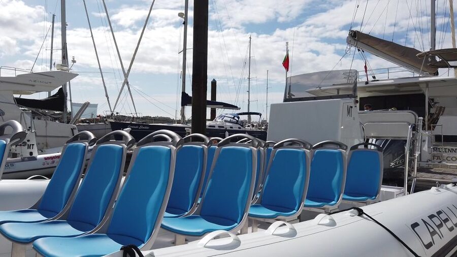 Albufeira: Benagil Cave and Dolphin Sightseeing Boat Cruise - Is $47 a fair price?