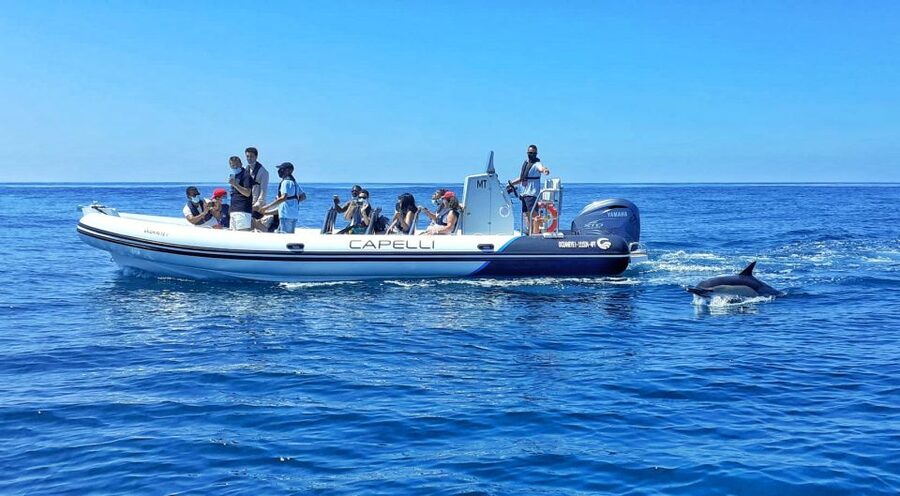 Albufeira: Benagil Cave and Dolphin Sightseeing Boat Cruise - Golden beaches from Arrifes to Armação de Pêra