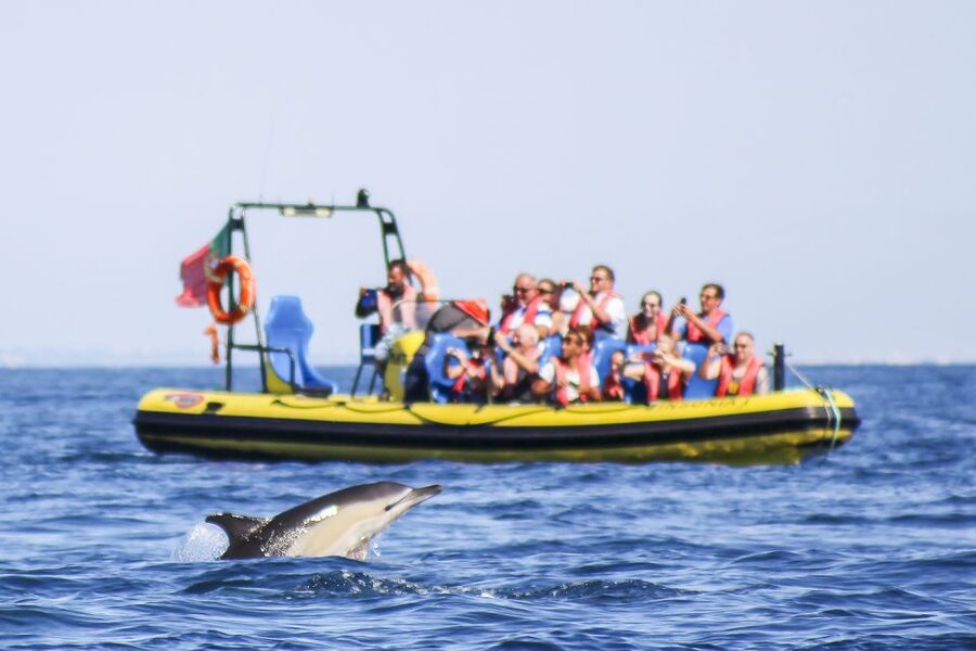 Albufeira: Benagil Caves & Dolphin Watching Speed Boat Tour - Benagil Cave: spectacular, but not a long stop