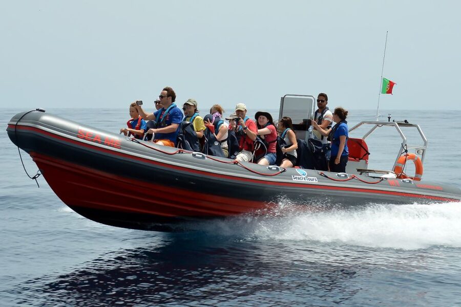 Albufeira: Dolphin Watching and Benagil Cave Boat Cruise - Benagil Cave and the Algarve cliff coast