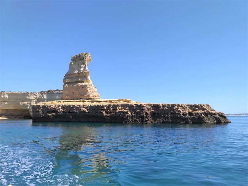 Albufeira: Dolphin Watching and Benagil Cave Boat Cruise - Should you book it?