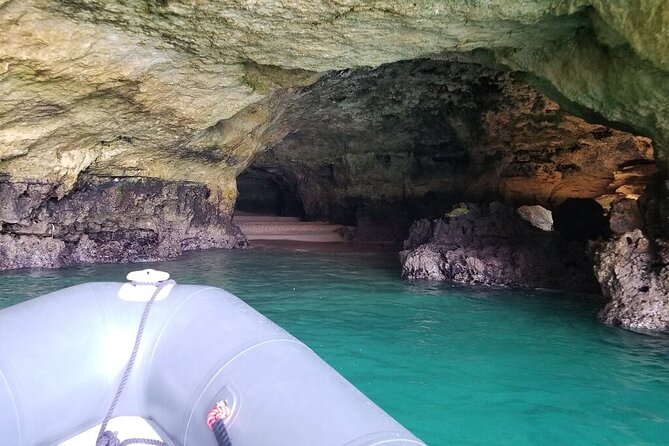 Albufeira: Dolphins and Caves Tour - Who should book this Albufeira boat trip?