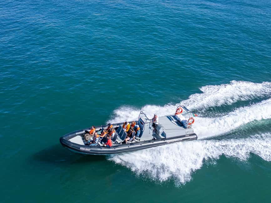 Albufeira: Dolphins & Benagil Caves RIB Tour - Key points at a glance