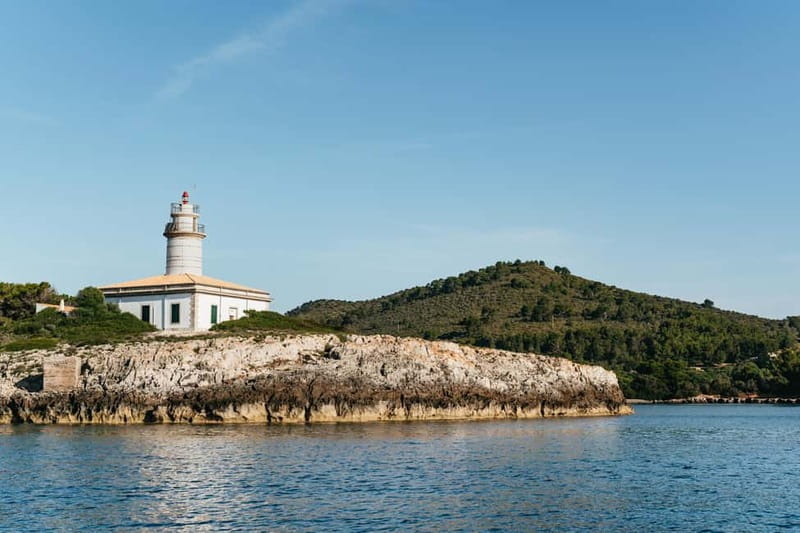Alcudia or Can Picafort: Dolphin-Watching Cruise - Key points to know before you go