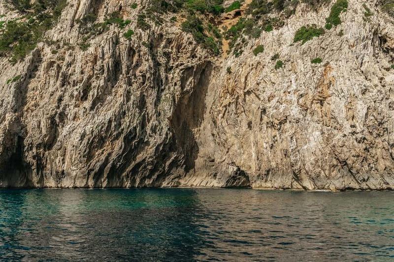 Alcudia or Can Picafort: Dolphin-Watching Cruise - Who will enjoy this boat trip most?