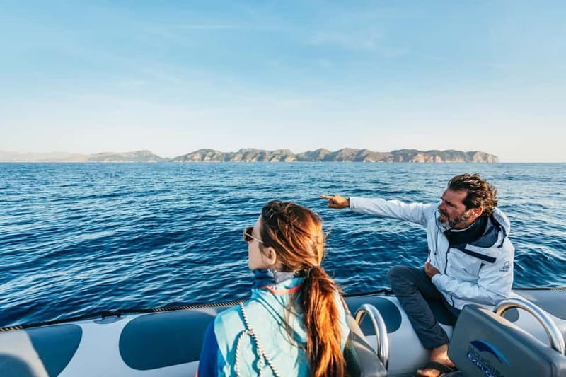 Alcudia or Can Picafort: Dolphin-Watching Cruise - Watching dolphins in open water