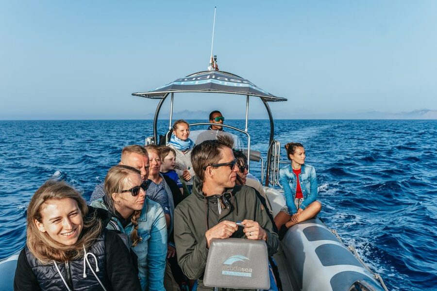 Alcudia or Can Picafort: Dolphin-Watching Cruise - A short swim at Es Coll Baix