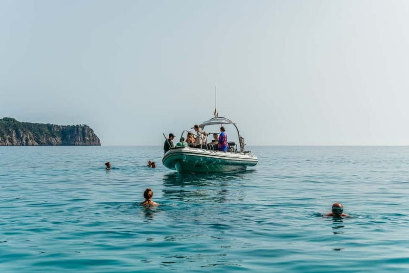 Alcudia or Can Picafort: Dolphin-Watching Cruise - Sunrise or afternoon departure?
