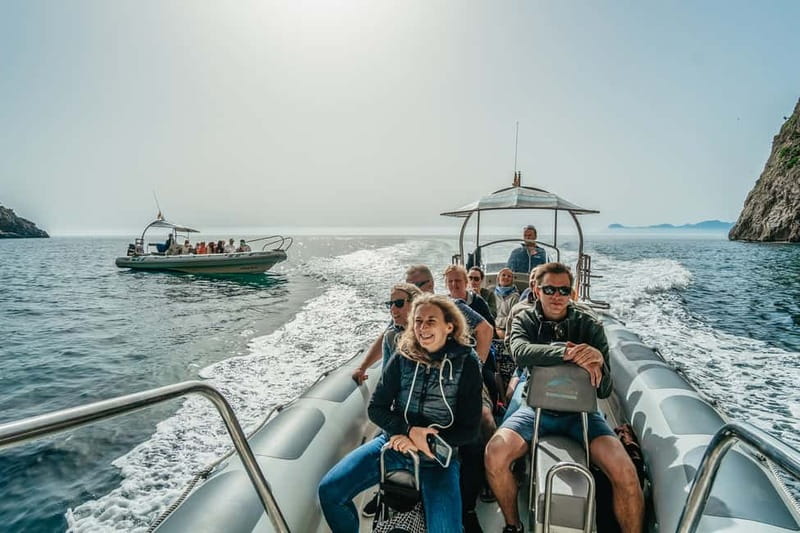 Alcudia or Can Picafort: Dolphin-Watching Cruise - Is $100 a fair price?