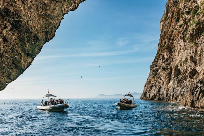 Alcudia or Can Picafort: Dolphin-Watching Cruise - The fast run toward the dolphins