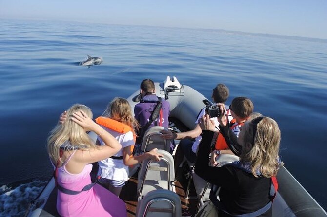 Algarve Dolphin Watching & Marine Life Eco Tour - Searching the open Atlantic near Santa Maria Cape