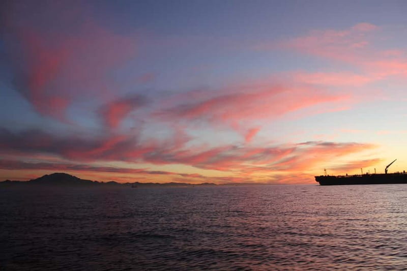 Algeciras: Dolphin and whale watching in reduced groups - The chance of seeing a fin whale