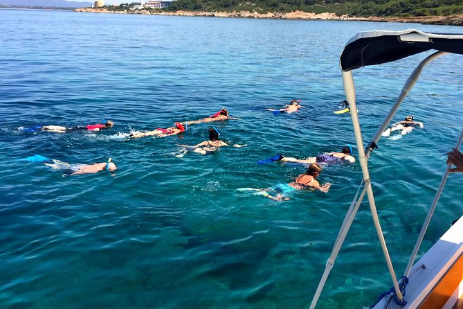 Alghero - Dolphin Watching and Guided Snorkeling (summer tour) - The snorkeling stop in a protected sea area