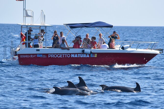 Alghero - Dolphin Watching and Guided Snorkeling (summer tour) - Booking, weather, and cancellation details