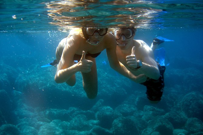 Alghero - Dolphin Watching and Guided Snorkeling (summer tour) - Watching dolphins without crowding them