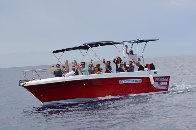 Alghero - Dolphin Watching (Spring & Autumn Tour) - Cruising through Capo Caccia and Isola Piana