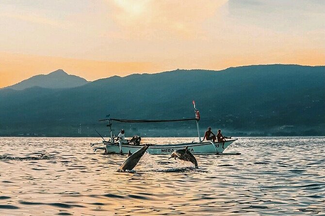 All inclusive Lovina Dolphins Sunrise tour, Waterfall & Temple - Hiking to Git Git Waterfall