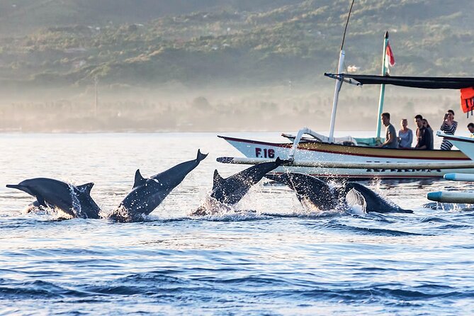 All inclusive Lovina Dolphins Sunrise tour, Waterfall & Temple - The private format and guide service