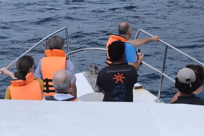 All Inclusive Mirissa Whale and Dolphin Watching Boat Ride - The Long Run Into the Indian Ocean