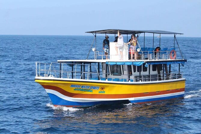 All Inclusive Mirissa Whale and Dolphin Watching Boat Ride - Who Will Get the Most From This Trip