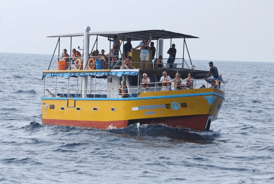 All Inclusive Mirissa Whale & Dolphin Watching + Snorkeling - A cold beer on the beach