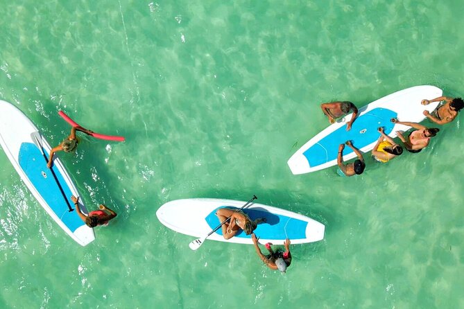 All-Inclusive Sandbar Safari with Dolphin Playground Encounter - What lunch and unlimited drinks really add