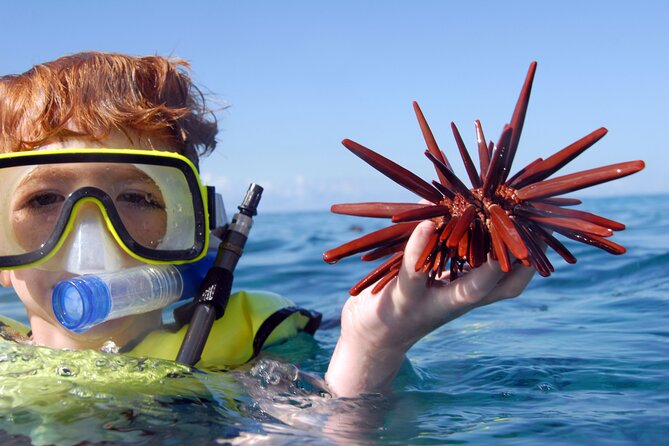 All-Inclusive Sunset Dolphin Watch and Snorkeling Cruise - Setting out from Ko Olina at 4:15 pm