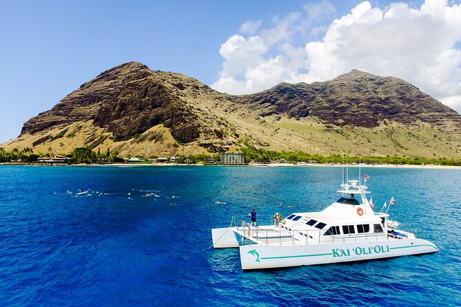 All-Inclusive Sunset Dolphin Watch and Snorkeling Cruise - What the $169 price really covers