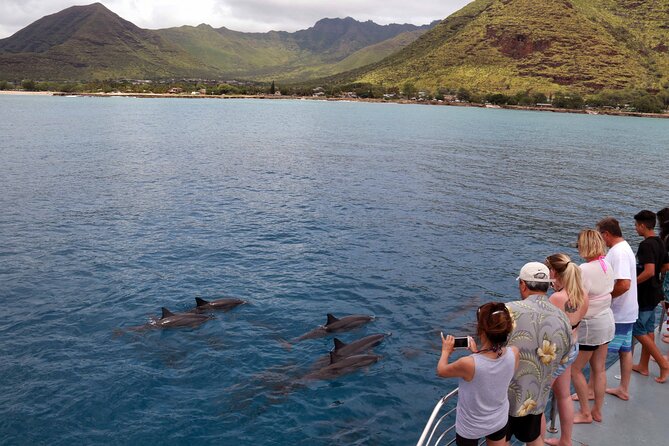 All-Inclusive Sunset Dolphin Watch and Snorkeling Cruise - Who should book this cruise