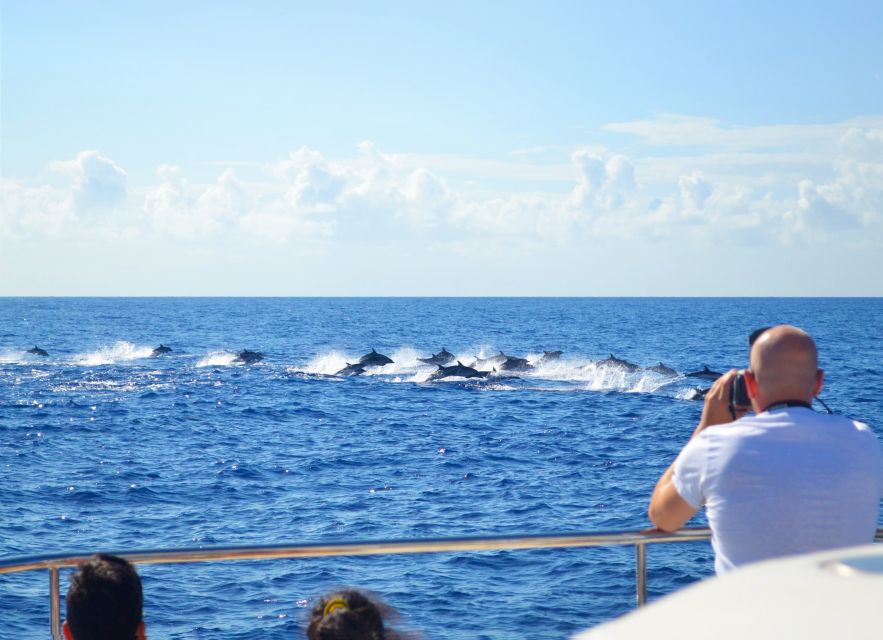 All Inclusive Whale and Dolphin Watching Luxury Tour - Key points to know before booking