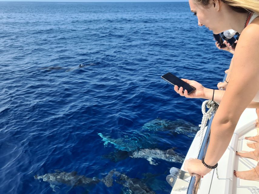 All Inclusive Whale and Dolphin Watching Luxury Tour - FAQ