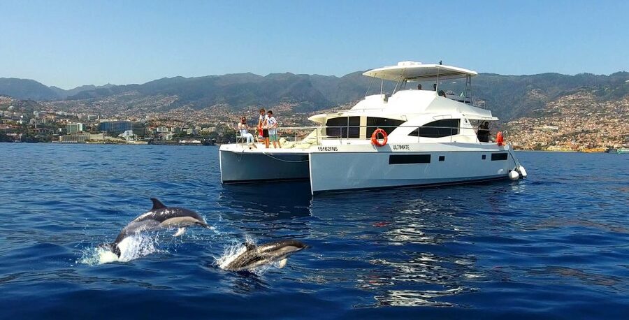 All Inclusive Whale and Dolphin Watching Luxury Tour - Leaving Funchal on a spacious catamaran