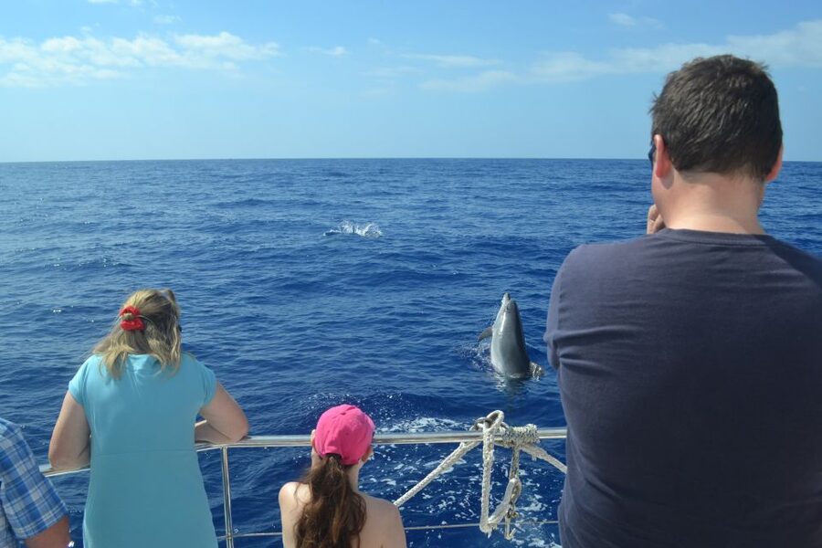 All Inclusive Whale and Dolphin Watching Luxury Tour - Comfort, accessibility, and practical details