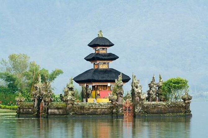 Amazing Bali Dolphin Watching Trip Experience - Key points at a glance
