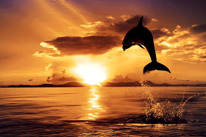 Amazing Bali Dolphin Watching Trip Experience - Tamblingan Lake and Bali’s high country