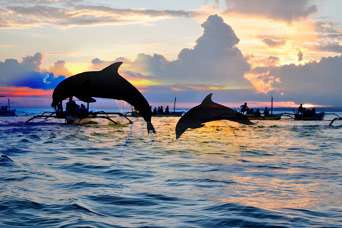 Amazing Bali Dolphin Watching Trip Experience - The waterfall view on the return drive