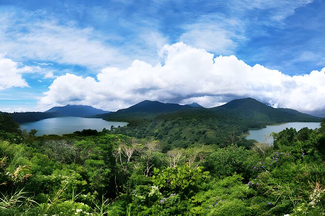 Amazing Bali Dolphin Watching Trip Experience - How the guiding affects the day