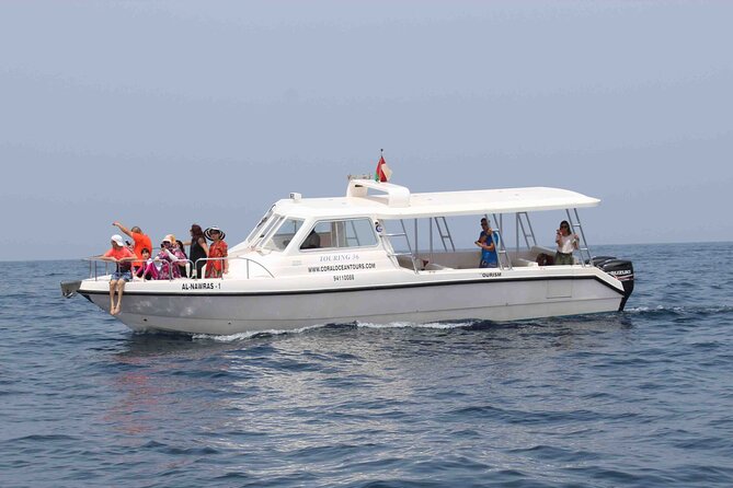 Amazing Dolphin Watching Tour In Muscat - Group size, comfort, and family suitability