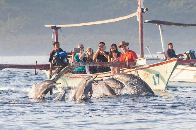 Amazing Private Tours: Dolphins Lovina and Gitgit Waterfall include Lunch - Why the 2:30 am departure matters
