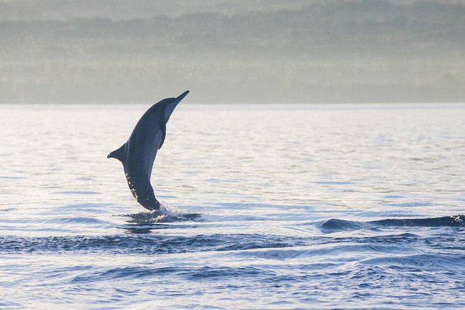 Amazing Private Tours: Dolphins Lovina and Gitgit Waterfall include Lunch - Gitgit Waterfall after the boat ride