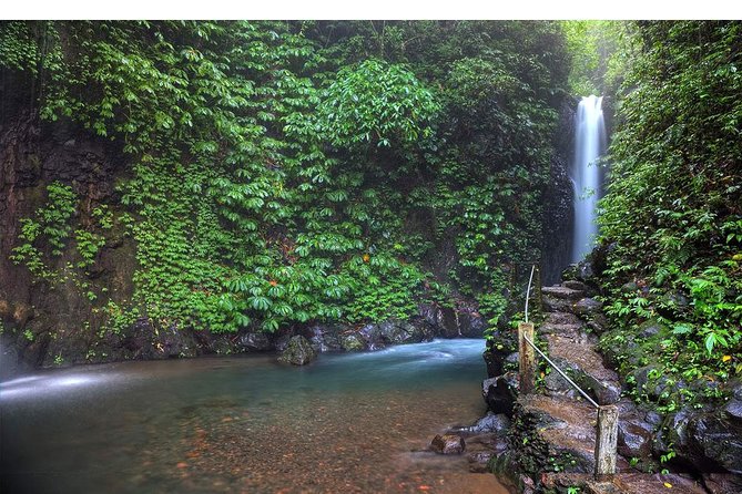 Amazing Private Tours: Dolphins Lovina and Gitgit Waterfall include Lunch - Lunch and Candikuning Market
