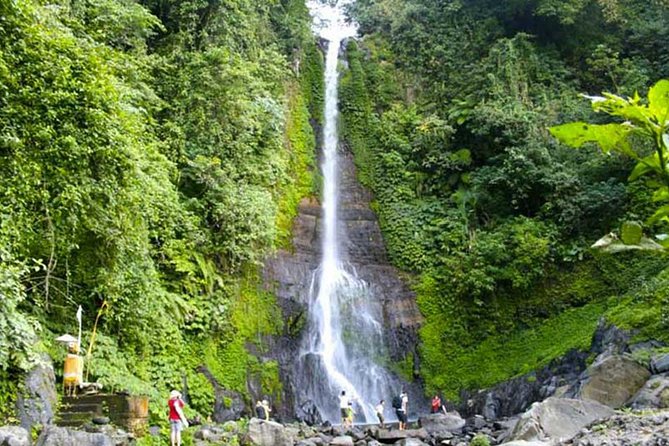 Amazing Private Tours: Dolphins Lovina and Gitgit Waterfall include Lunch - The advantage of having a private driver